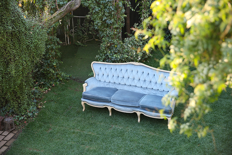 庭 A 南向き 常緑芝生と木々につく蔦 Garden Studio Lamomo Group スタジオ ラモモグループ